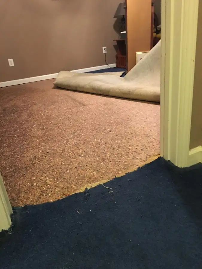 Carpet pad removal revealing water damage during Water Mitigation Services in Kingsland