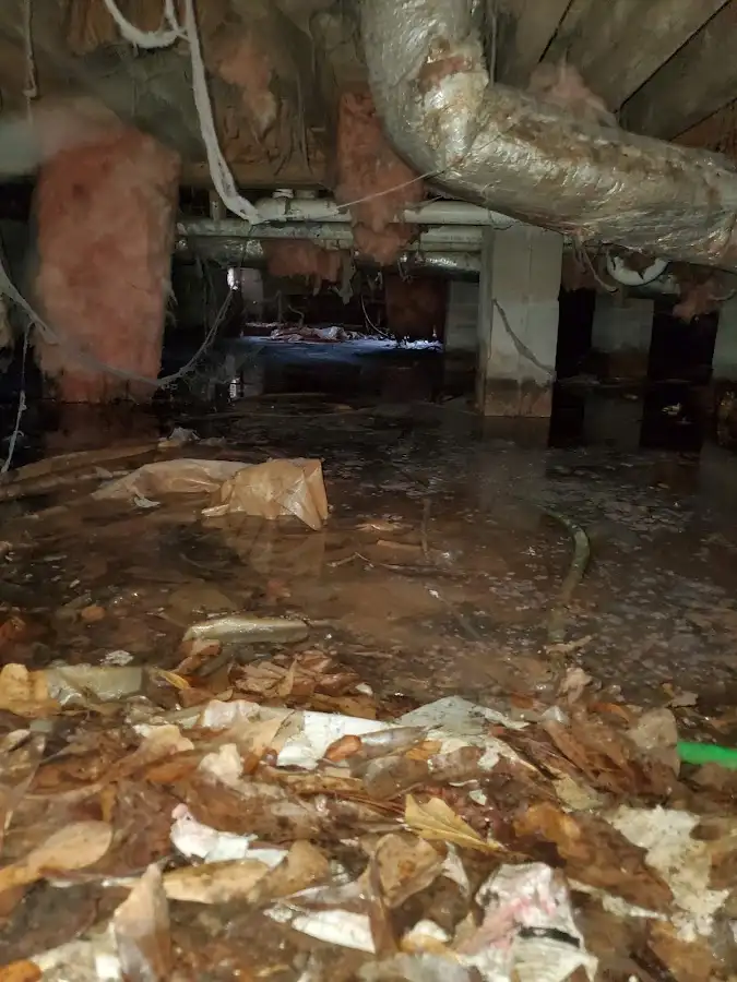 Crawl space flood assessment for Leak Detection & Repair in Kingsland